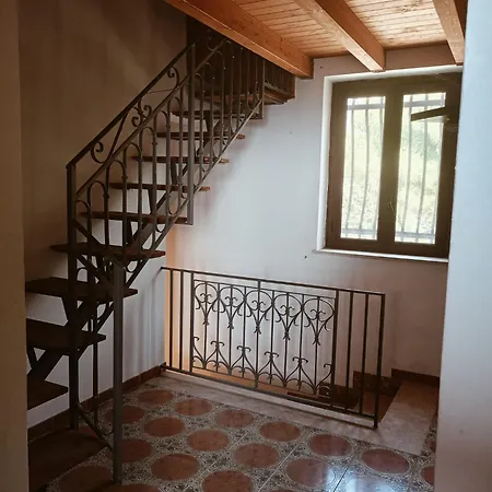 Shanti A Romitello - 