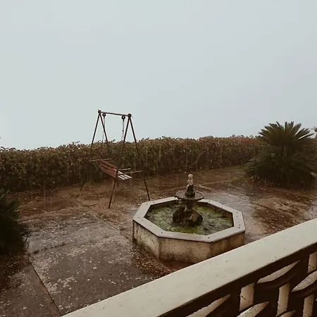 Shanti A Romitello - 
