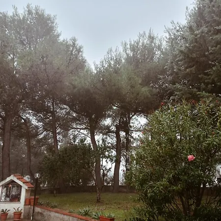 Shanti A Romitello - 