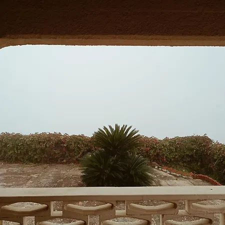 Shanti A Romitello - 
