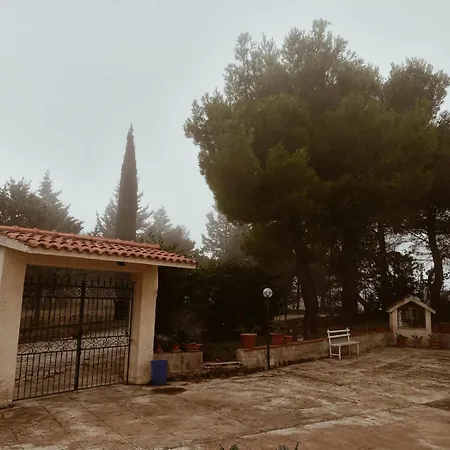 Shanti A Romitello - 